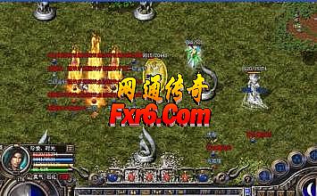 紫
