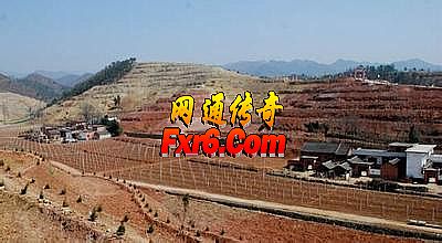 1.76财神金币合击