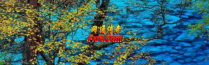 �����¿�����ϻ�