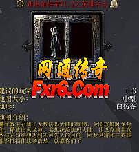 ip������վ6pao